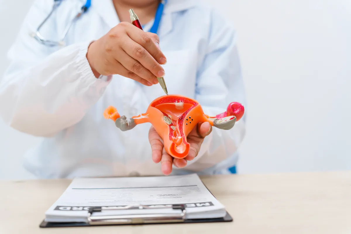 Doctor in a white coat holding a cut-away model of the uterus, with the cervix at the bottom, and pointing a pen at the top of the uterus above a clipboard
