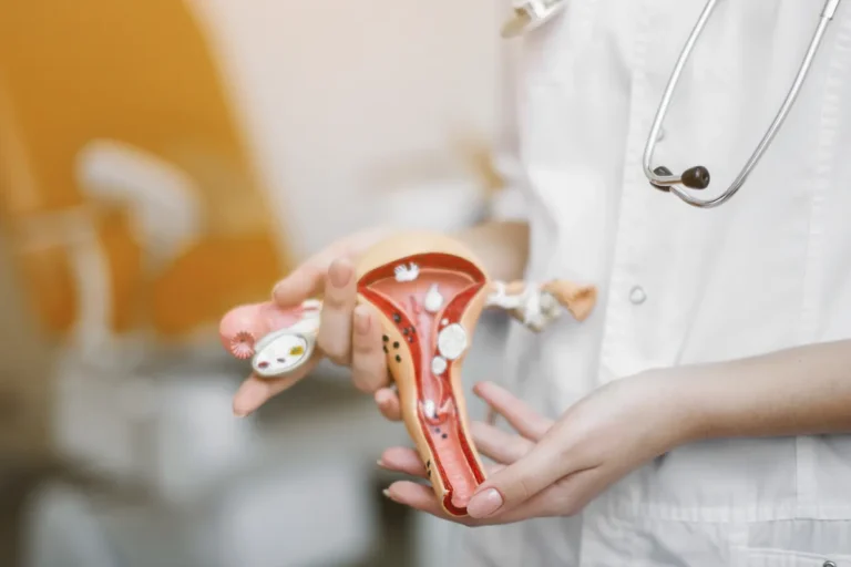Medical professional holding an anatomical model of the uterus, fallopian tubes and ovaries in a clinic