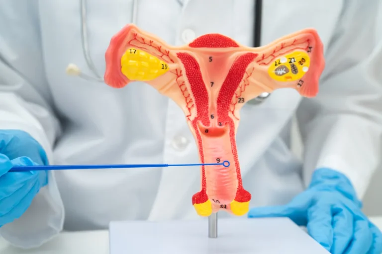 Doctor in blue gloves holding a pointer next to an anatomical model of the uterus, cervix and vagina
