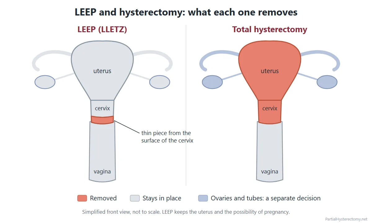 Diagram comparing LEEP, which removes a thin piece from the surface of the cervix, with a total hysterectomy, which removes the uterus and cervix