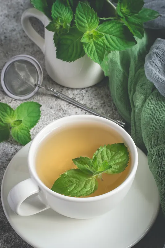 Cup of peppermint tea with fresh mint leaves