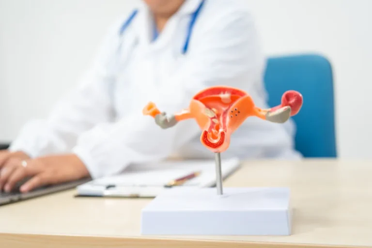 Cut-away model of the uterus, cervix, fallopian tubes and ovaries on a stand on a desk, with a doctor in a white coat typing on a laptop in the background